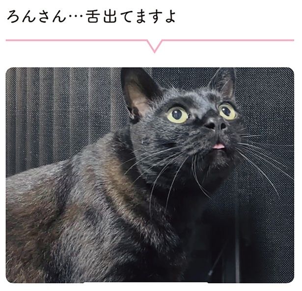 舌出てますよ （C）AKR／KADOKAWA