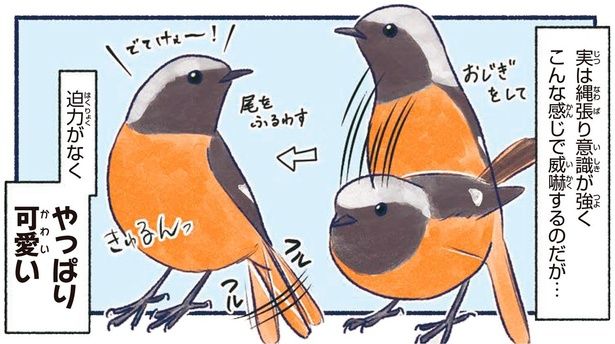やっぱり可愛い （C）piro piro piccolo／KADOKAWA