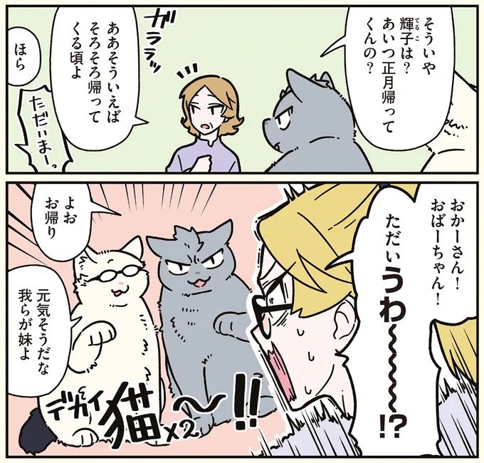 16258909.webp