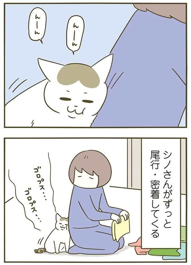 尾行・密着 （C）卵山玉子／KADOKAWA