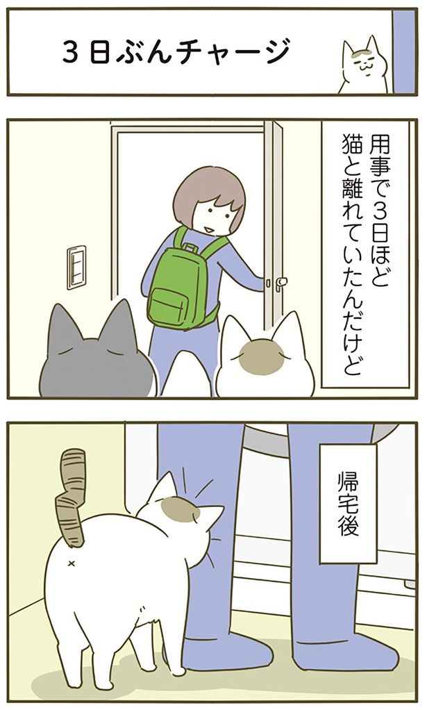 3日分チャージ （C）卵山玉子／KADOKAWA