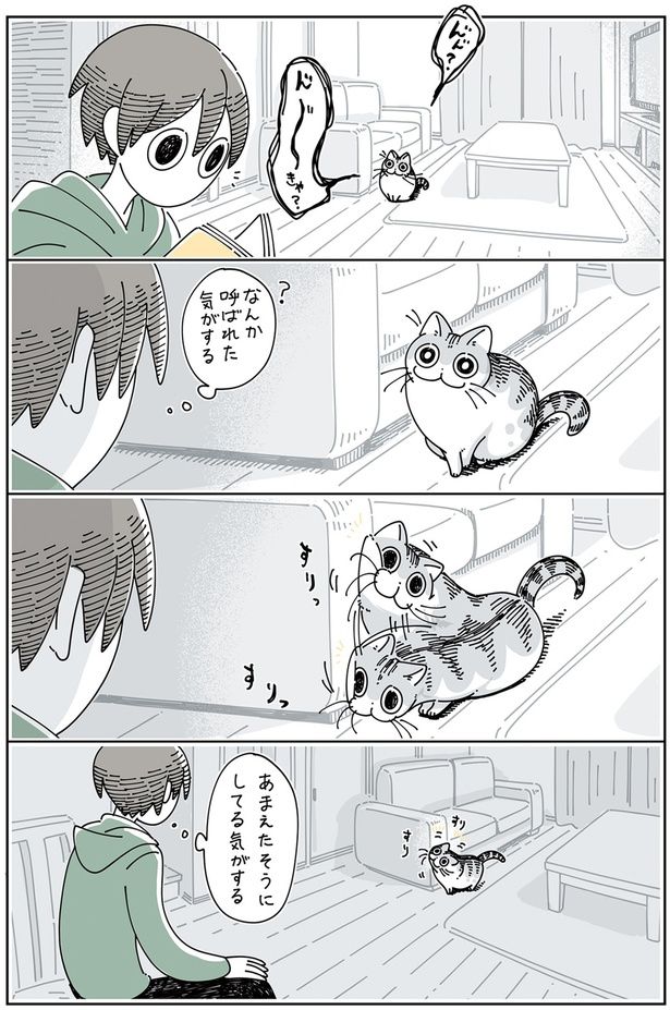 遠くの方であまえるネコ （C）キュルZ／KADOKAWA