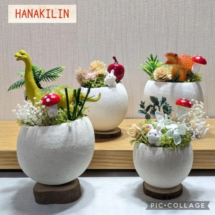 今回実施予定体験教室・ミニチュアガーデン講座