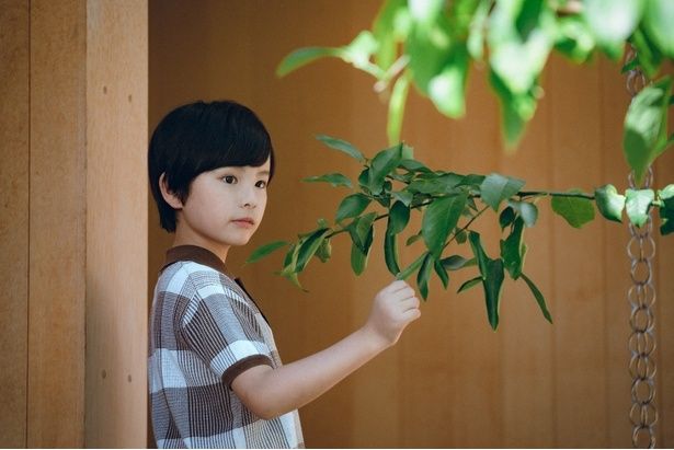 桒木里夢は200人のなかからオーディションで選ばれた(『箱の中の羊』) [c]2026フジテレビジョン・ギャガ・東宝・AOI Pro.