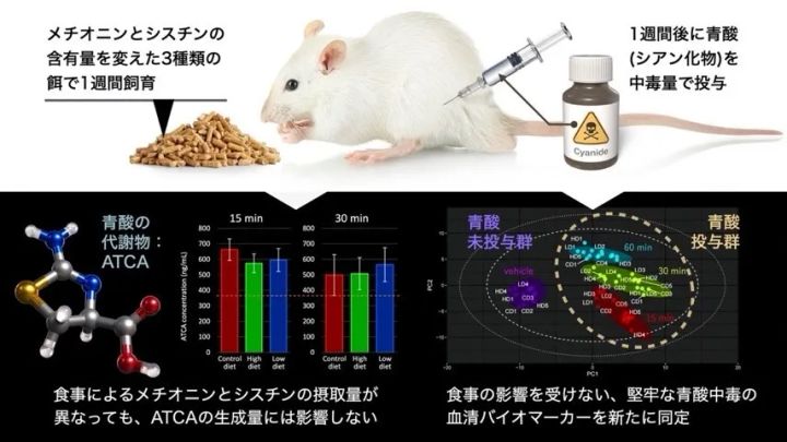 本研究の概要図（サイエンスデザイナー 髙橋一誠氏 作成）