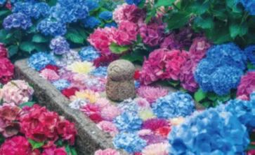 紫陽花守りづくりワークショップのイメージ