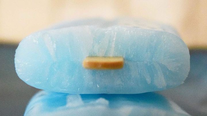 シャリっとした食感ながら口の中ですっと溶けるような清涼感が特徴