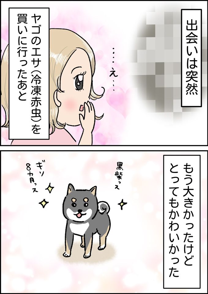 出会いは突然だった。ヤゴのエサを買いに行ったホームセンターで急展開！【うちの男子（だんご）4兄弟・41】の画像1