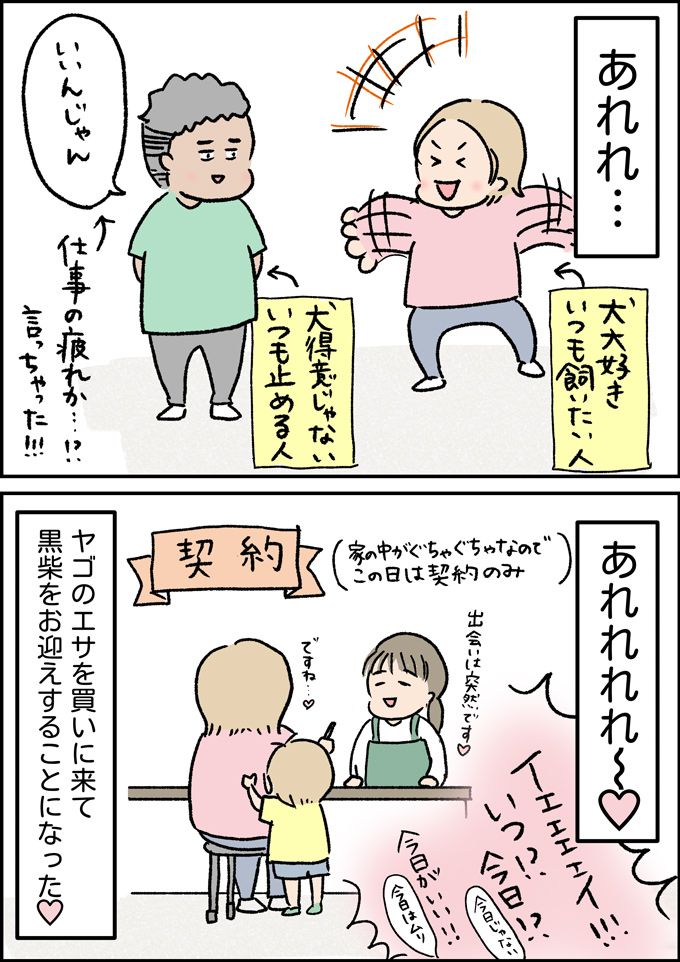 出会いは突然だった。ヤゴのエサを買いに行ったホームセンターで急展開！【うちの男子（だんご）4兄弟・41】の画像4
