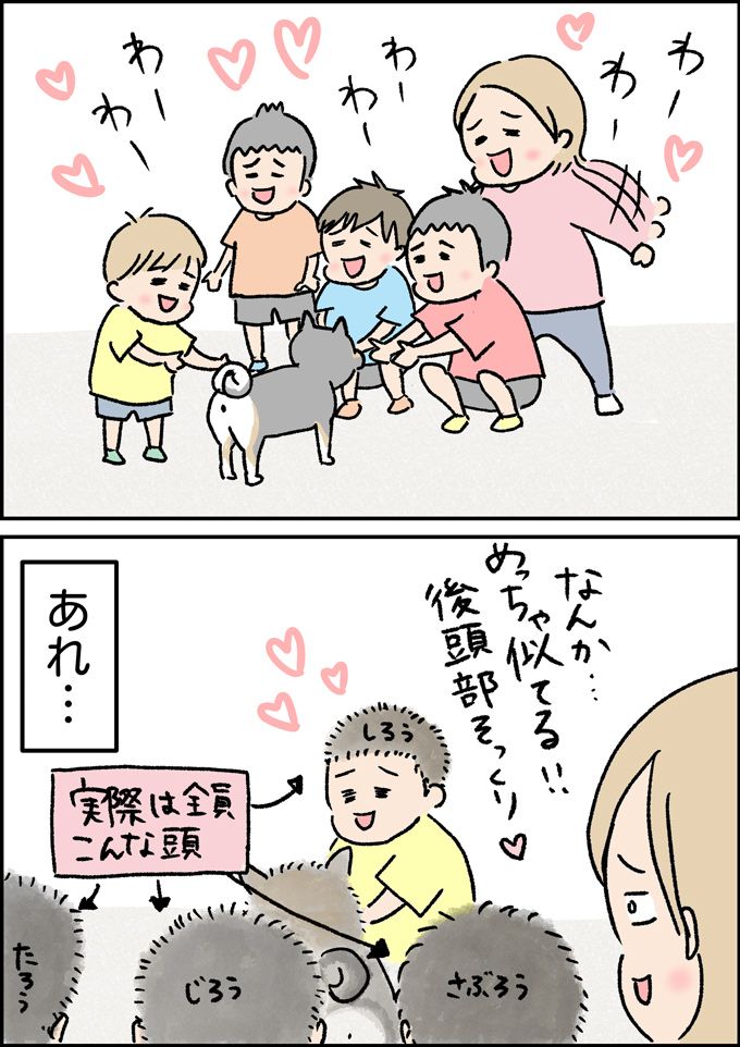 出会いは突然だった。ヤゴのエサを買いに行ったホームセンターで急展開！【うちの男子（だんご）4兄弟・41】の画像3