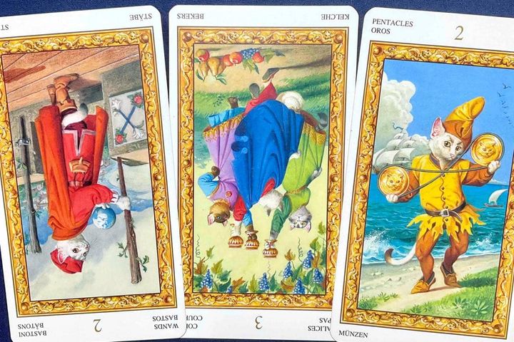 【乙女座】2026年6月1日〜6月7日運勢