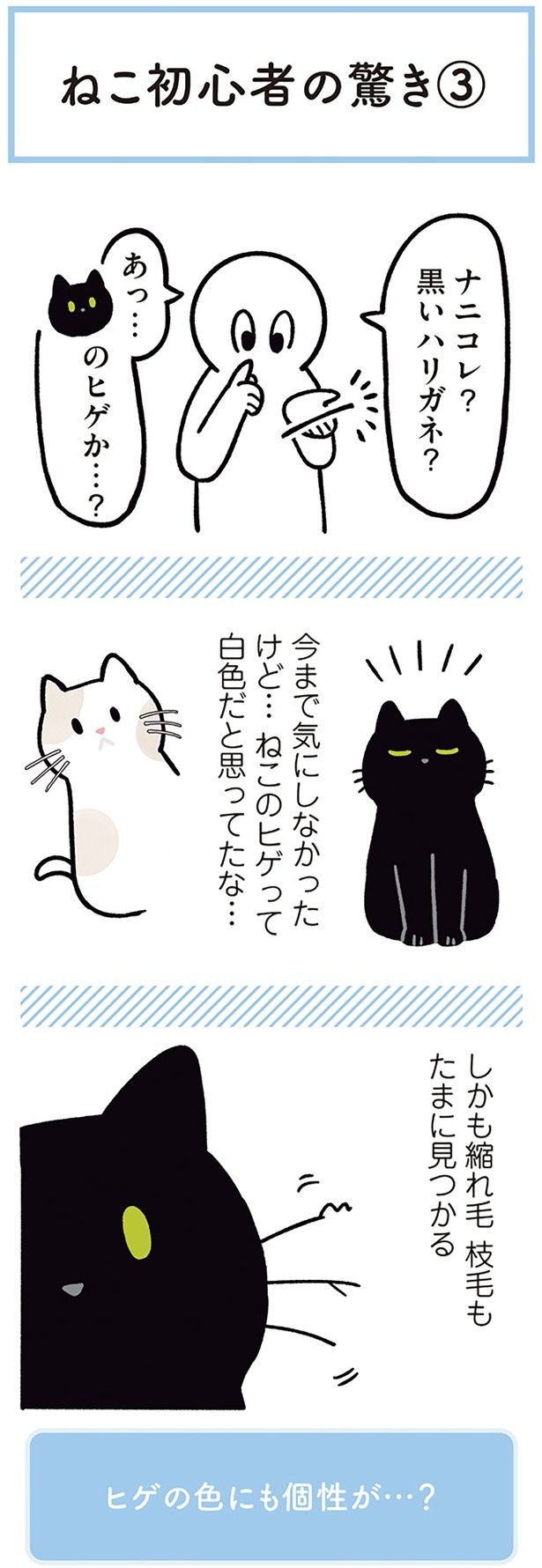 ナニコレ？黒いハリガネ？ （C）AKR／KADOKAWA