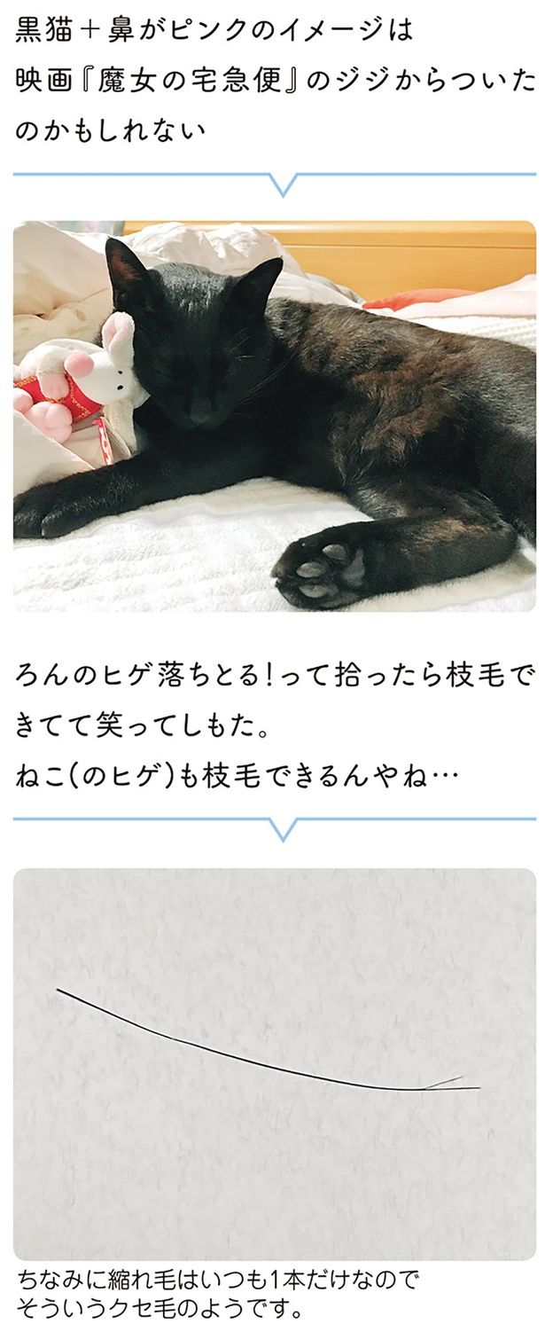 ねこ（のヒゲ）も枝毛できるんやね… （C）AKR／KADOKAWA