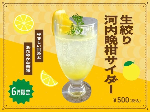 【東京都港区】カレー専門店「Spice and Vegetable 夢民」に限定メニュー登場！アジフライカレーも