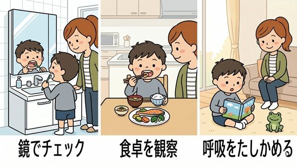 日本小児矯正研究会が親向け専門家コラムを更新！5月後編は「床矯正の装置」がテーマ