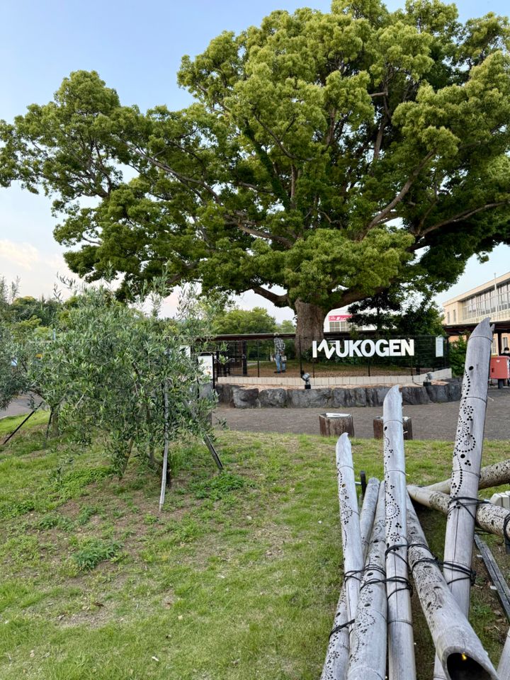 伊豆高原駅 桜並木口の駅前広場