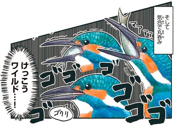 けっこうワイルド…！ （C）piro piro piccolo／KADOKAWA