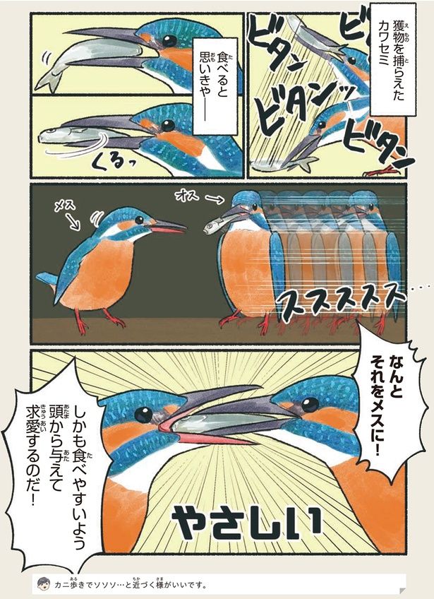 なんとそれをメスに！ （C）piro piro piccolo／KADOKAWA