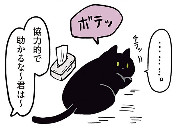 ブラッシングに協力的なろん （C）AKR／KADOKAWA