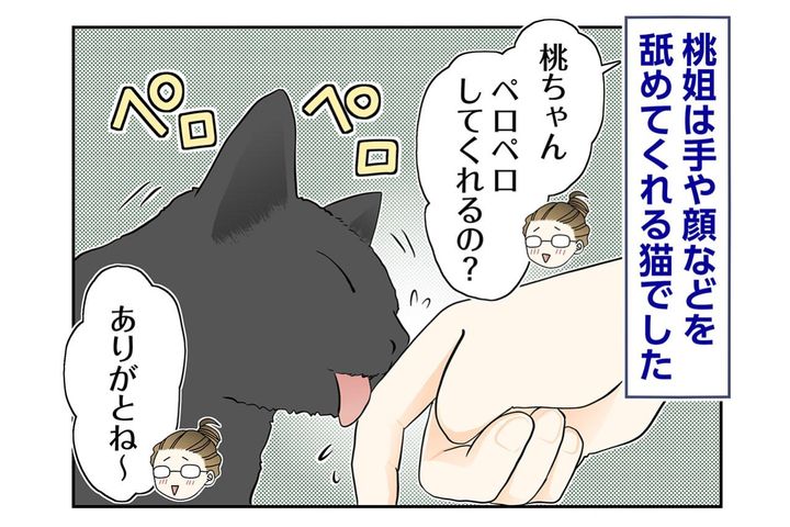 【マンガ・老猫日誌＃87】手荒れがいつまでも治らなかった理由〜思い出の老猫日誌・桃姐と小論