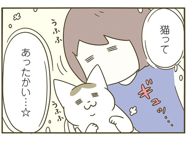 猫ってあったかい （C）卵山玉子／KADOKAWA
