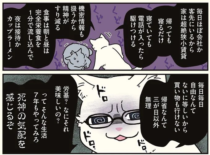 16258986.webp