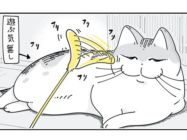 遊ぶ気分じゃない… （C）キュルZ／KADOKAWA