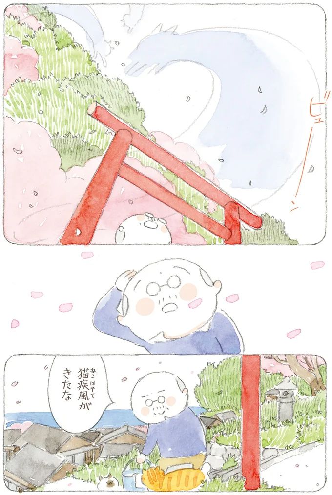 16341661.webp