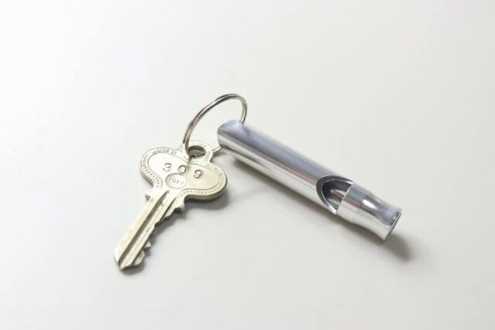 ダイソー 防災ホイッスル 使用例