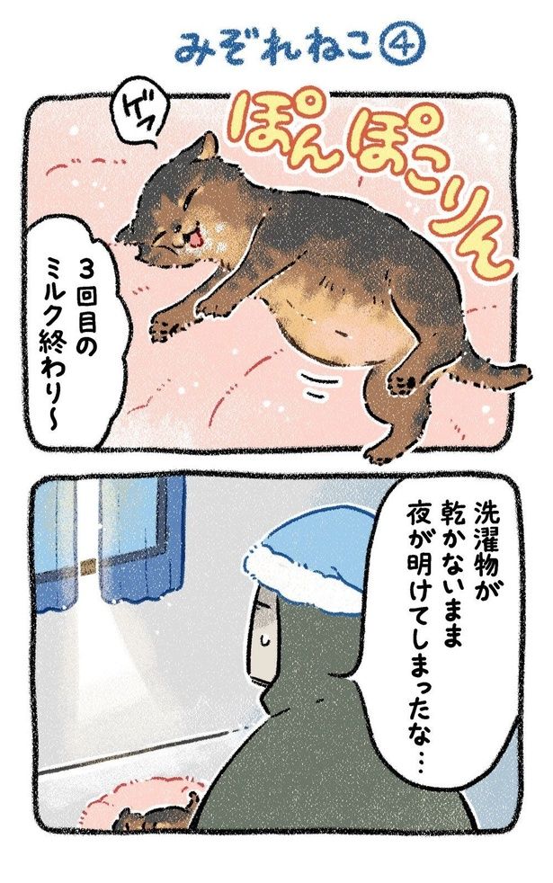 みぞれねこ④01 画像提供：(C)ヨシモフ郎