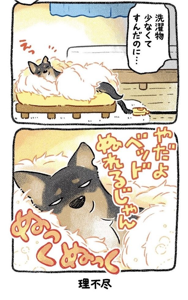 みぞれねこ②04 画像提供：(C)ヨシモフ郎