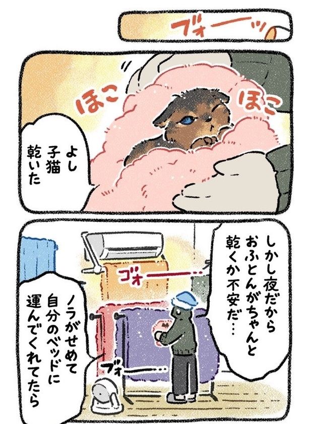 みぞれねこ②03 画像提供：(C)ヨシモフ郎