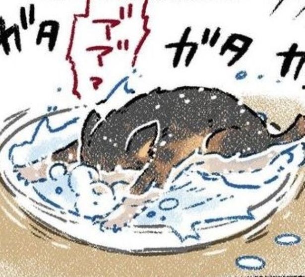 ミルクを見たらお皿にダイブ!? 画像提供：(C)ヨシモフ郎