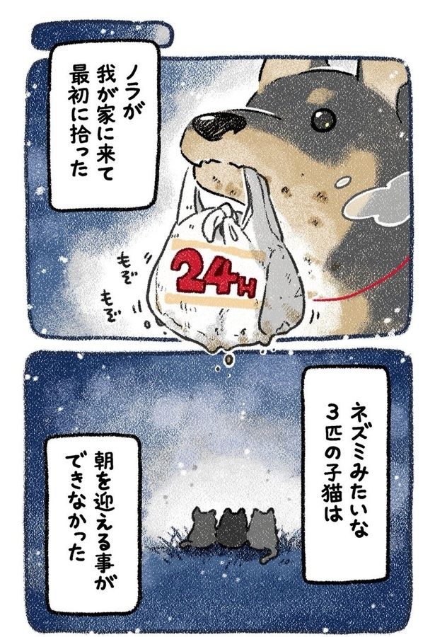 みぞれねこ④02 画像提供：(C)ヨシモフ郎