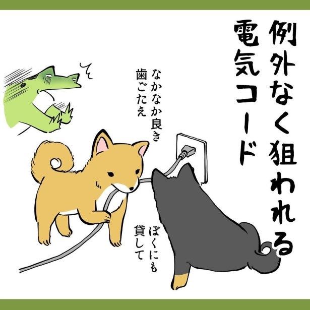 紐状のものが大好きなのも似ている！ ユウコトリトリ(@yuko_toritori)