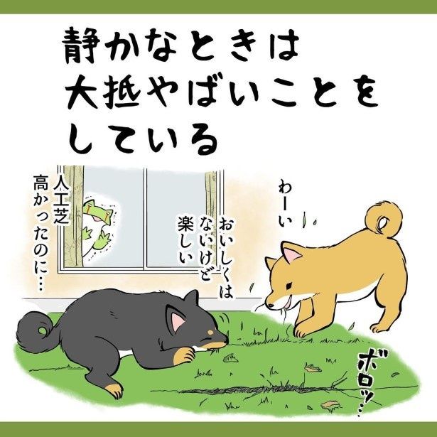 やめてー！高かったのに…!! ユウコトリトリ(@yuko_toritori)