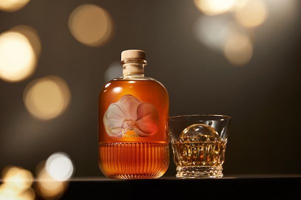 【福岡県福岡市】香椎宮そばの古民家を改装。Liquor SHOP & Cafe BAR「LOSS IS MORE FUKUOKA」オープン