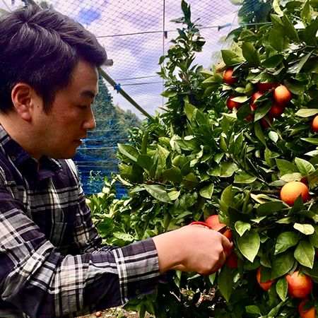 【愛媛県松山市】松山×大洲の共同開発！愛媛県産ブラッドオレンジを主役に据えたクラフトビール誕生