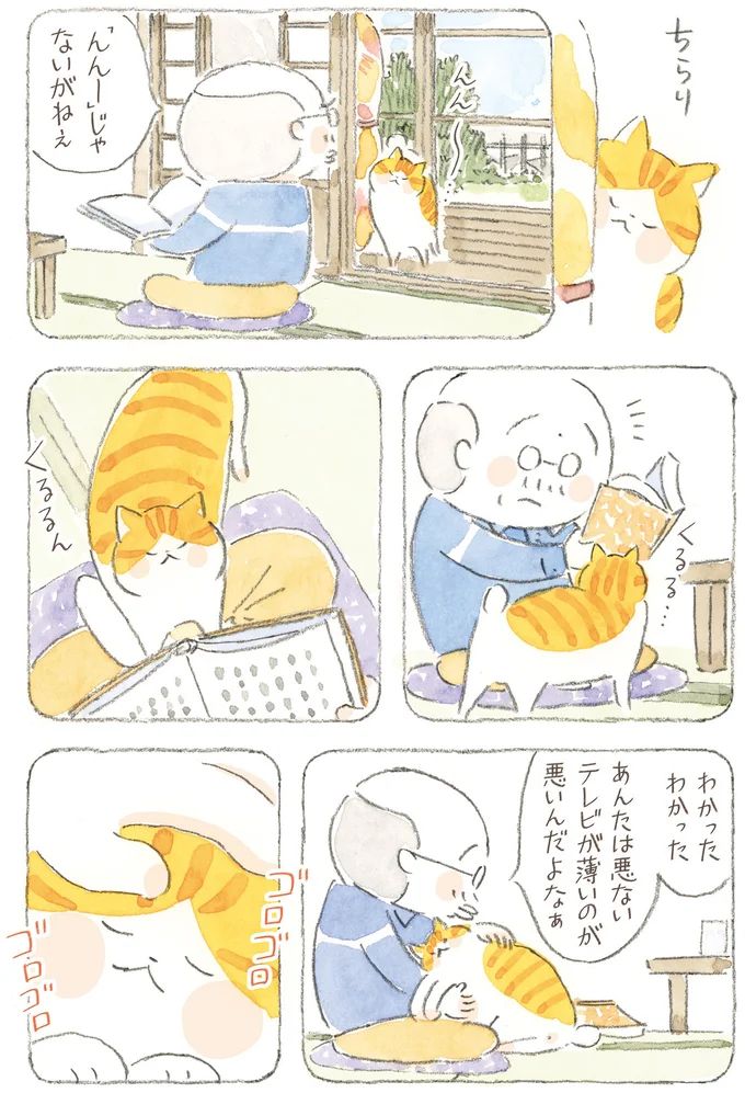 16341755.webp