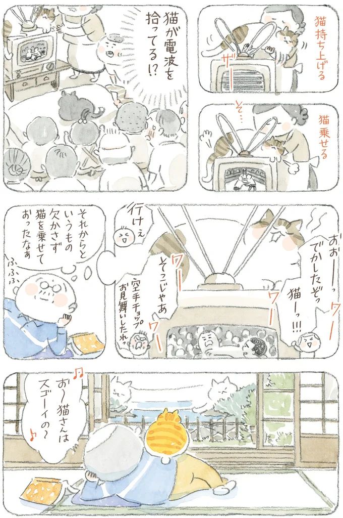 16341761.webp