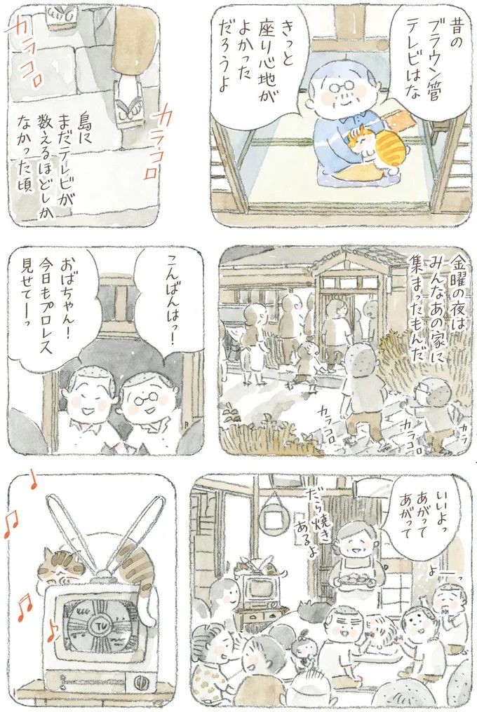 16341756.webp