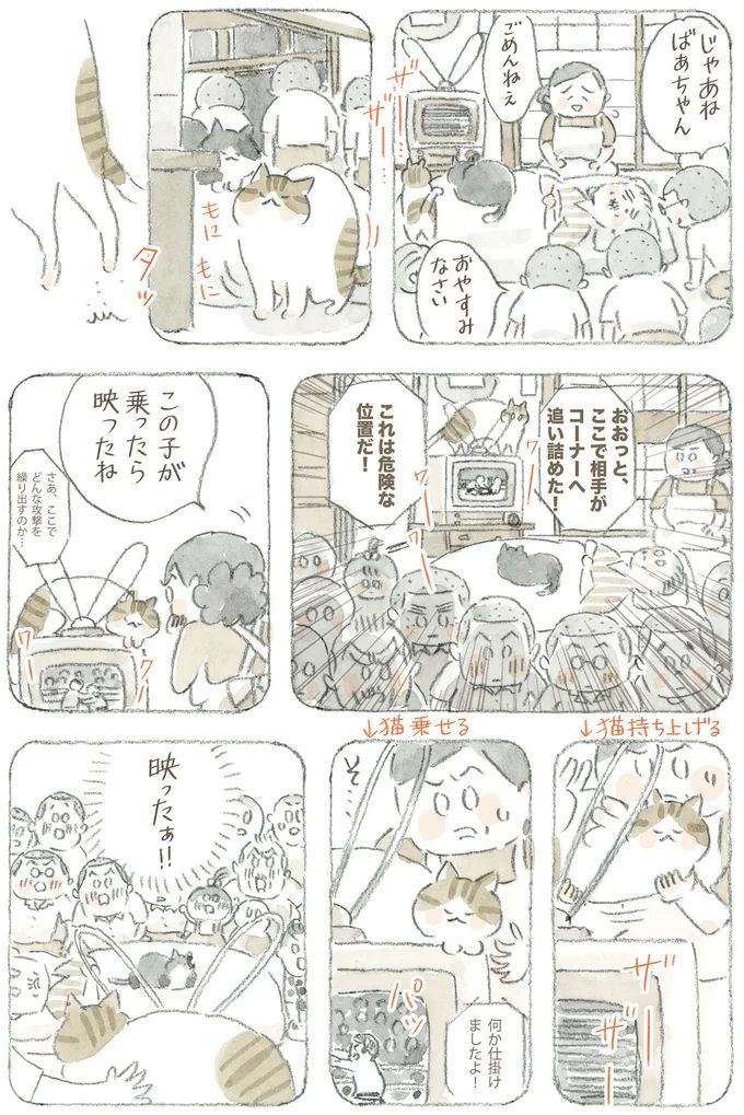 16341760.webp