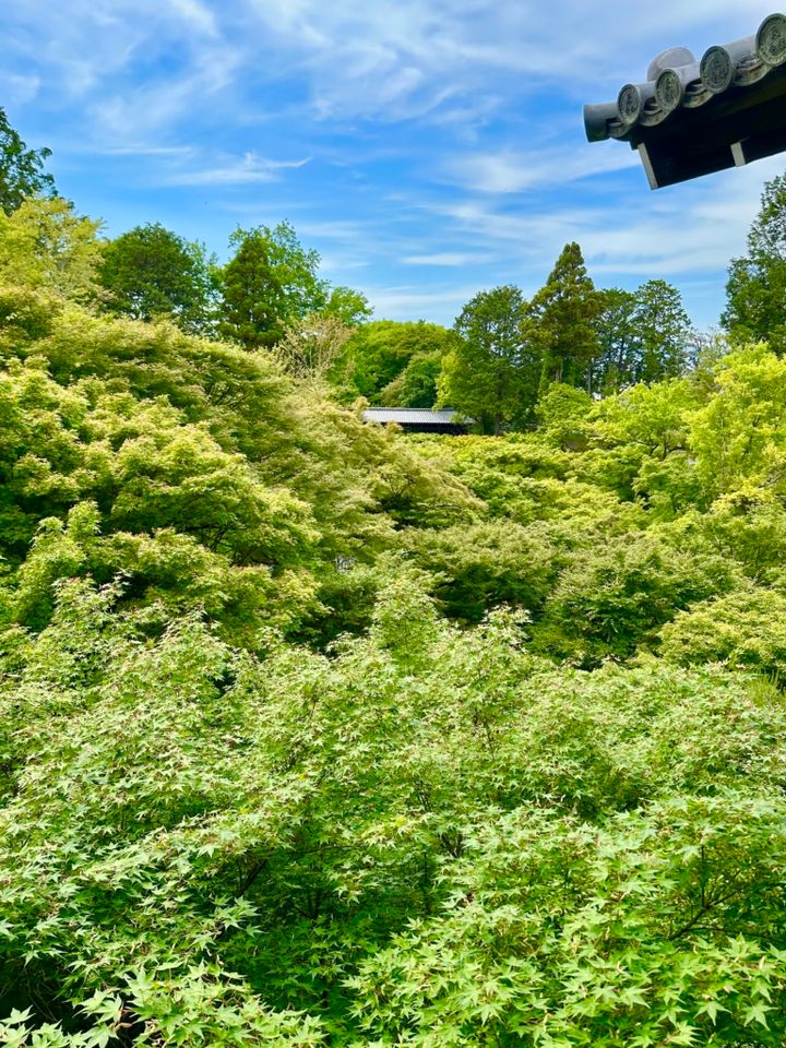 東福寺