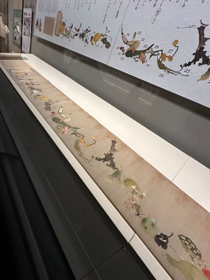 「若冲にトリハダ！野菜もウリ！」_展示作品