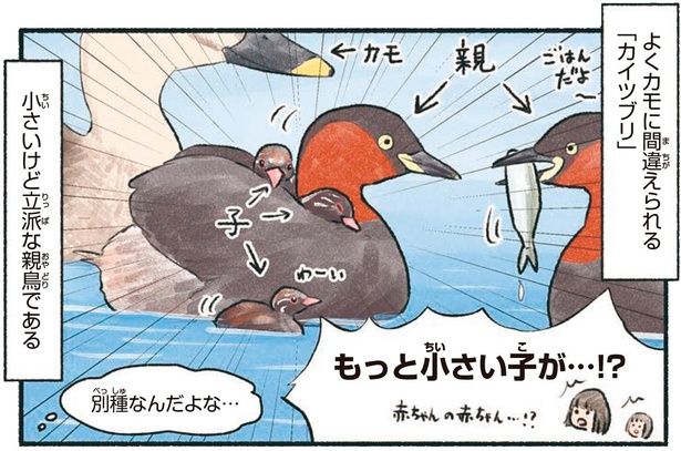 小さいけど立派な親鳥である （C）piro piro piccolo／KADOKAWA
