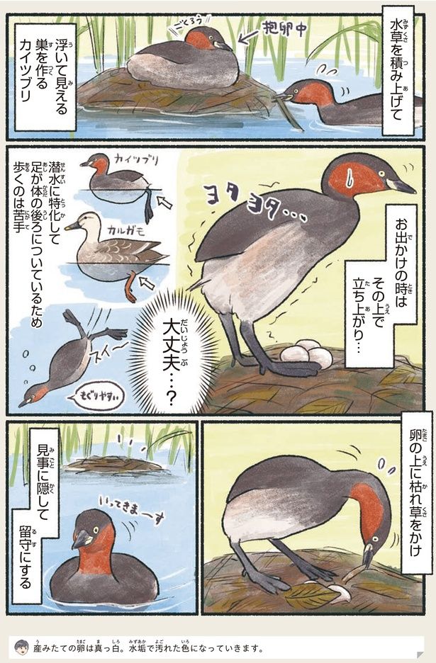 大丈夫…？ （C）piro piro piccolo／KADOKAWA