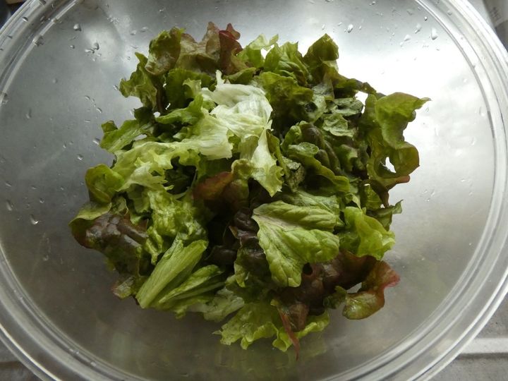 食感が楽しい！「パリパリごぼうとサニーレタスのサラダ」