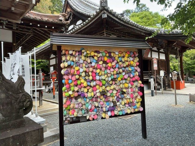  (311207)