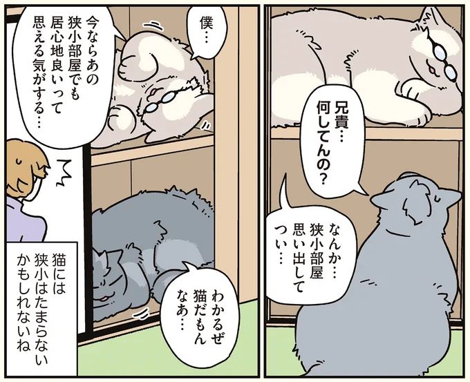 16258969.webp
