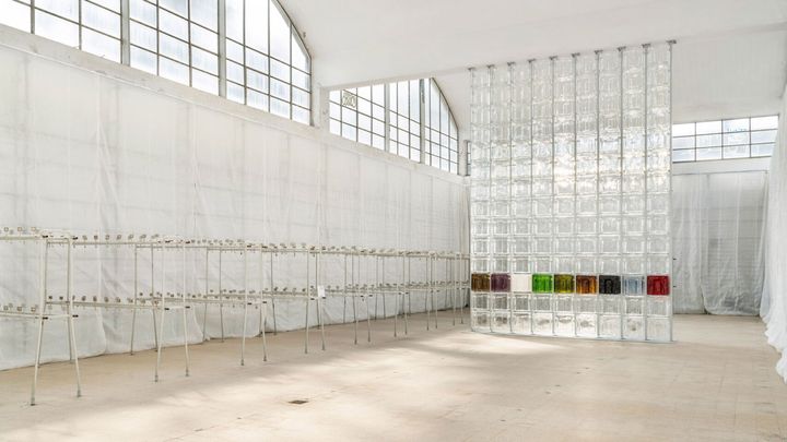 6:AMの展示「Over and Over and Over and Over」の様子